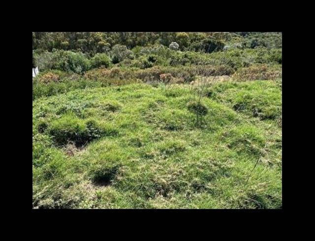 LAND FOR SALE IN DANA BAY